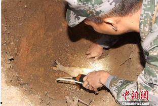 海南工地爆料事件视频曝光,视频揭露惊人真相